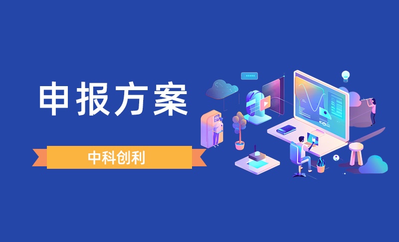 定制化申报方案