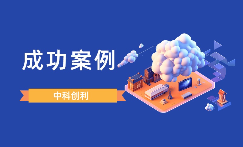 丰富的成功案例